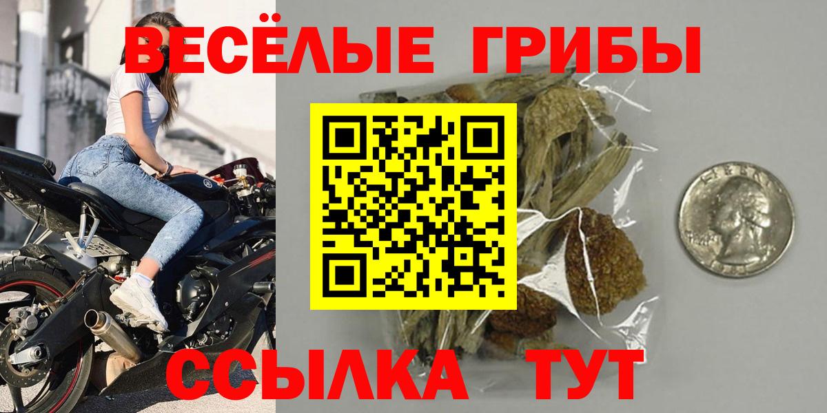 наркота  Галлюциногенные грибы MAGIC MUSHROOMS  Вход с VPN  Сальск 