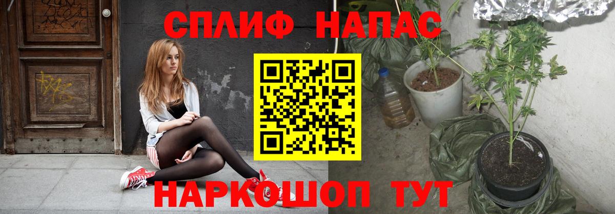 Сальск  Каннабис Ganja  Марихуана план  Вход с VPN  МАРИХУАНА MAZAR 